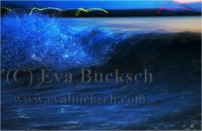 V&aring;g - foto av Eva Bucksch